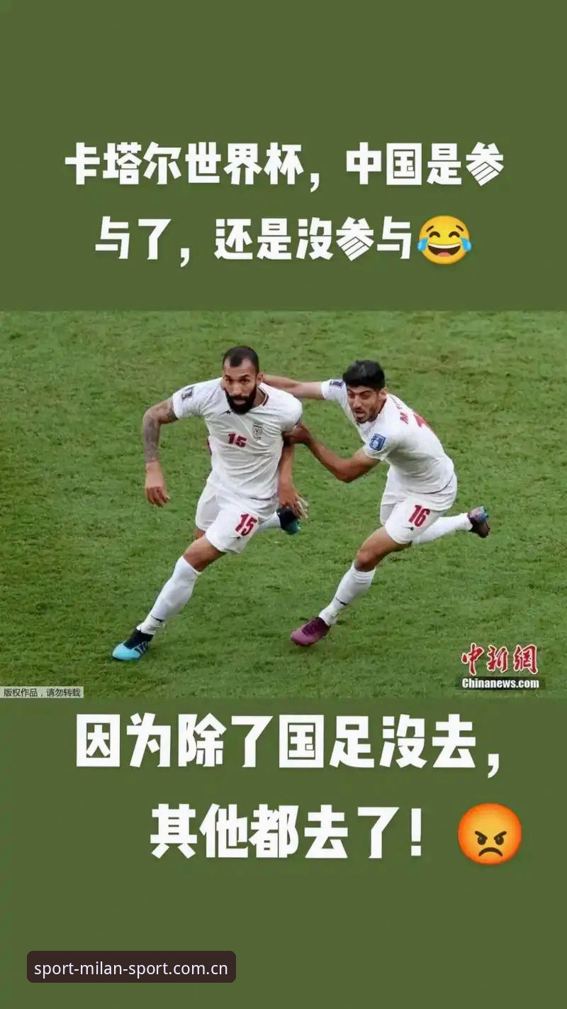米兰体育安卓版 世界杯观赛签证危机应对实用指南——从赛事现场到平台体验的全流程解读